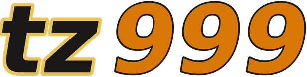 tz999 logo